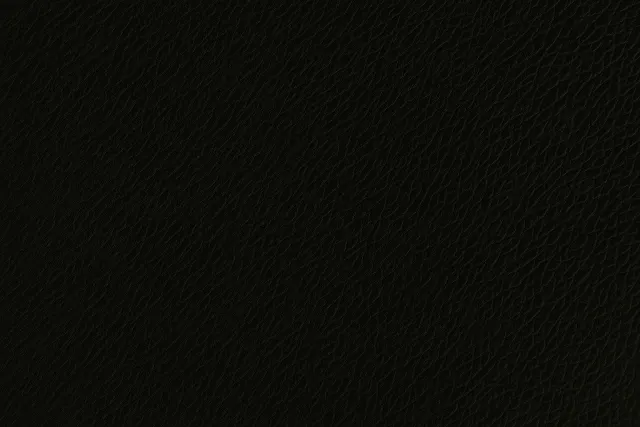 Onyx Black